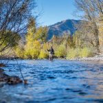 Fly Fishing the Big Wood River in Town